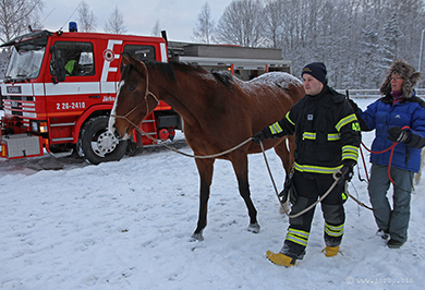 Järbo brandkår övar med hästar